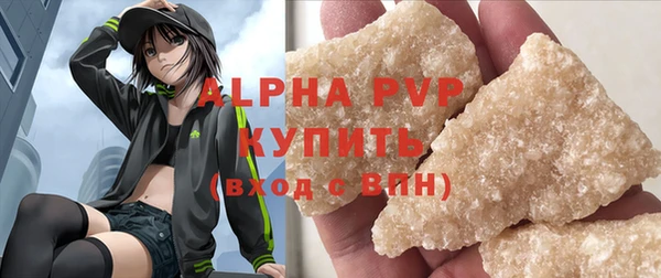 хмурый Абаза