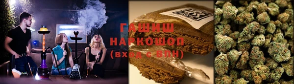 хмурый Абаза