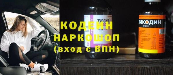 хмурый Абаза