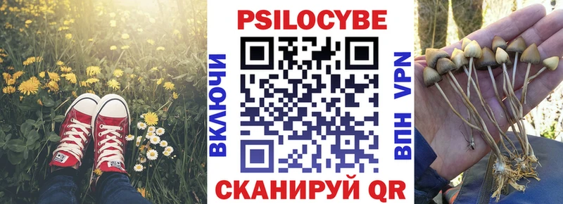 Псилоцибиновые грибы мухоморы где найти наркотики Кострома
