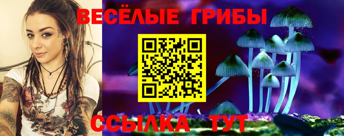Галлюциногенные грибы ЛСД Кострома